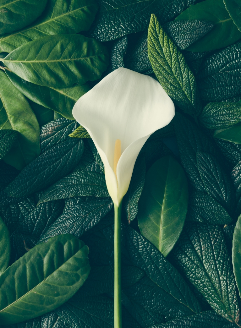 在靜蘊你可以放心的把肌膚問題交給我們， 可以盡情的享受並放鬆妳的身心靈， 讓我們用專業喚醒你的感官、釋放壓力、補充能量！