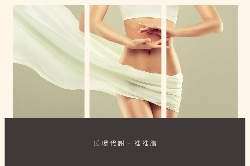 循環代謝.推推脂 循環代謝.推推脂