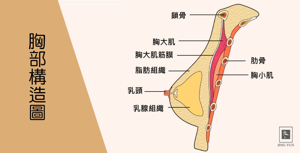 美胸保健按摩 60min