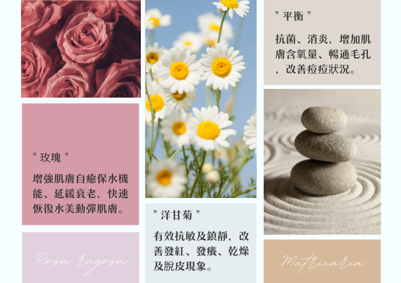 植萃活顏（肌筋膜） 120min