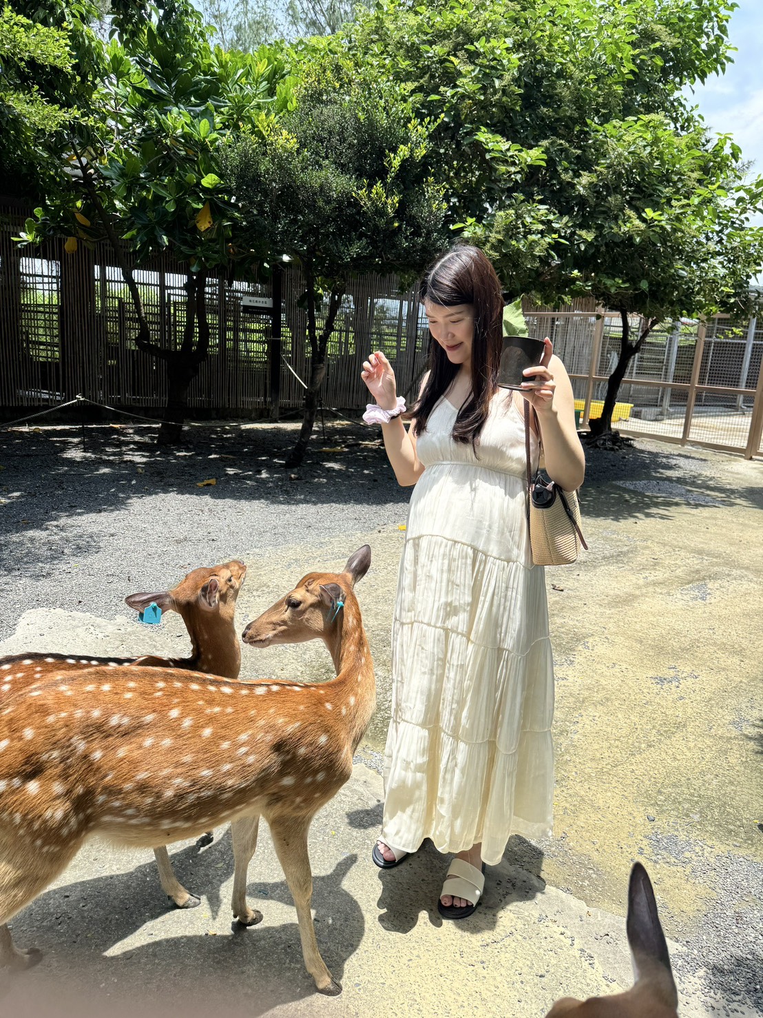 孕期到30週 Threads脆上推薦 孕媽咪SPA舒緩按摩 馬上預約起來